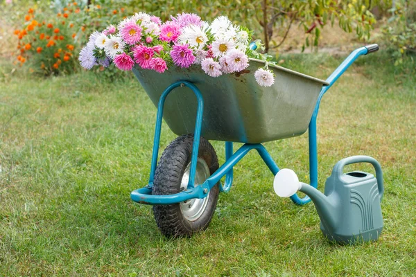 Zomertuin met kruiwagen en gieter. — Stockfoto