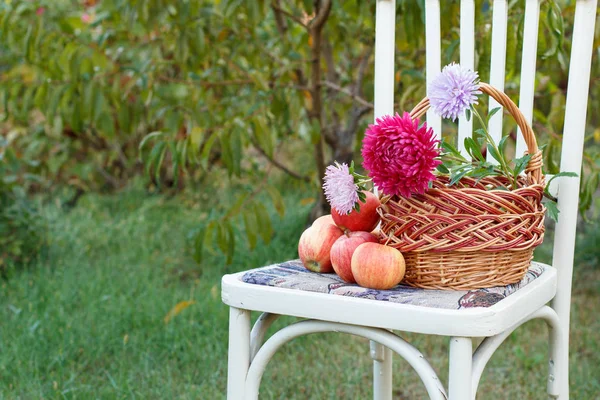 Manzanas y canasta de mimbre con flores en una silla blanca en el jardín . — Foto de Stock