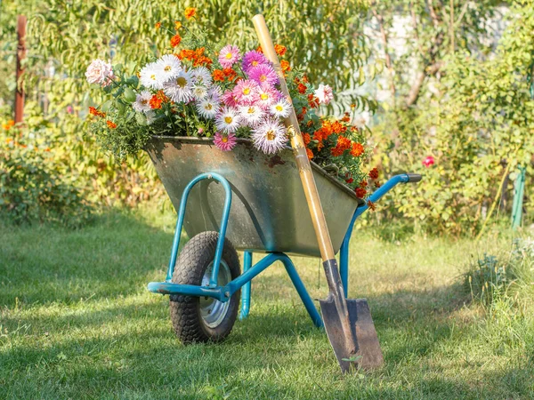 Zomertuin met kruiwagen op groen gras. — Stockfoto