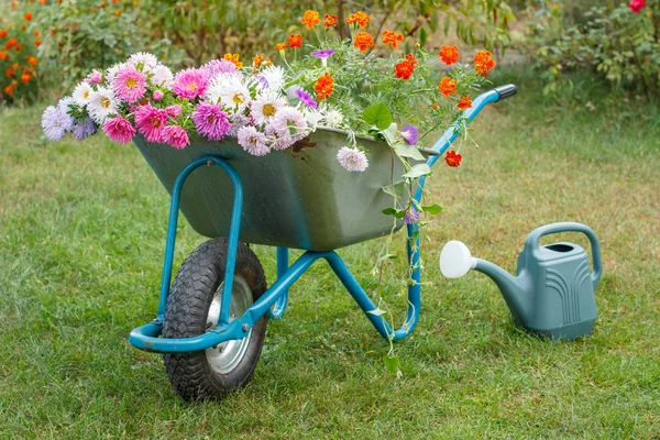 Zomertuin met kruiwagen en gieter. — Stockfoto