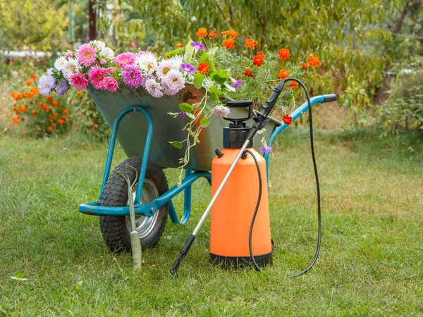 Giardino estivo con carriola e annaffiatoio . — Foto Stock