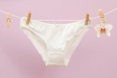 Leylak arkaplanda güzel kadın pamuğu külotu.