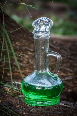 Ağaçların arasında devrilmiş bir ağacın gövdesinde yeşil bitkisel iksirli cam kap. Bitkisel ve sihirli iksir. Homeopatik tıp konsepti