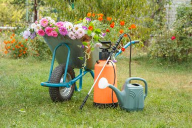 Sabah işten sonra, yaz bahçesinde. Çiçekli el arabası, sulama tenekesi ve yeşil çimlere basınçlı bahçe spreyi..
