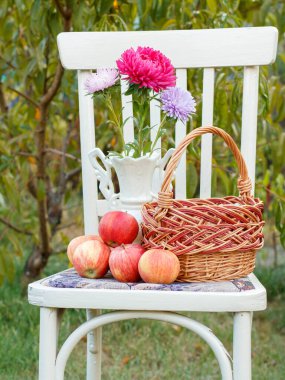 Hasır sepet, kırmızı paskalya çiçekli porselen vazo ve yeşil doğal arka planlı, kır tarzı beyaz bir sandalyede elmalar. Bulanık arkaplan.
