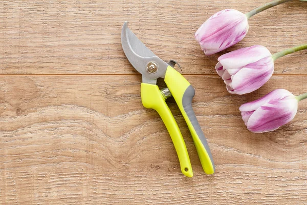 Taille Jardin Tulipes Lilas Sur Des Planches Bois Outils Équipements — Photo