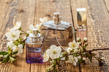 Ahşap zemin üzerinde kiraz ağacının çiçek açtığı bir şişe parfüm. Tatillerde hediye verme kavramı.