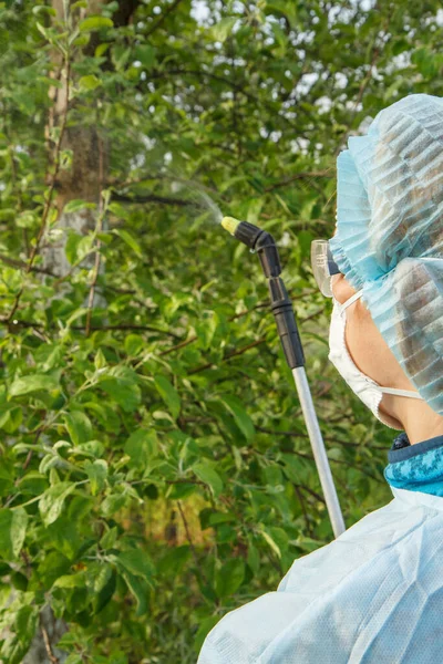 Apple tree being sprayed by chemicals from fungal disease or vermin by a female farmer in a protective suit and a mask using a pressure sprayer in the spring orchard. Back view.