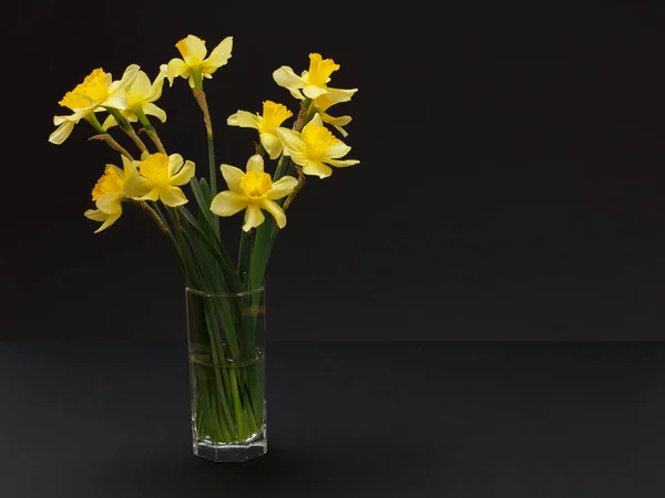 Ramillete Narcisos Amarillos Jarrón Cristal Sobre Fondo Negro Con Espacio — Foto de Stock