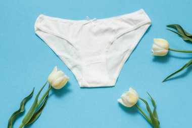 Mavi arka planda lale çiçekleri olan beyaz pamuklu külotlar. Kadın iç çamaşırı seti. Üst görünüm.