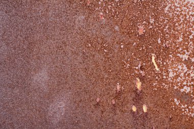 Metalik duvar eski. garaj kapısı. doku. 