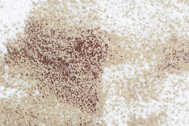 Metalik duvar eski. garaj kapısı. doku. Grunge tarzı arka plan. 