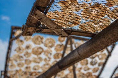 Kuru balık ve mavi gökyüzü.