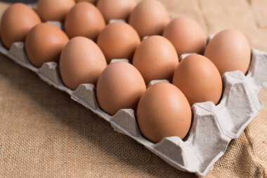 Kumaş arka planda yumurta paneli.