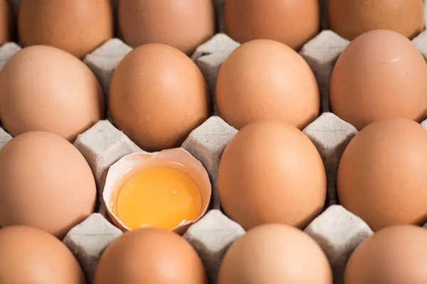 Taze yumurta yumurta panelinde.