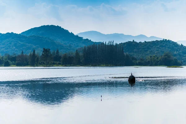 Dağ ve rezervuar ve kuş taş.