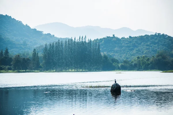 山和水库和鸟在石头 — 图库照片