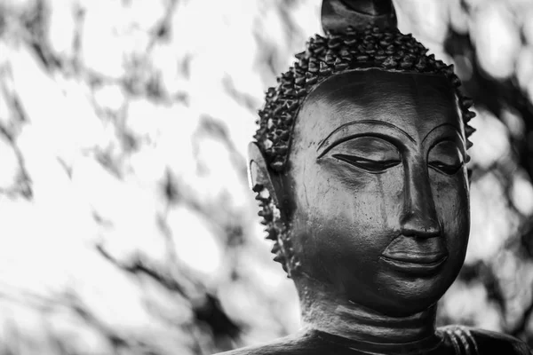 Buda heykeli üzerinde siyah ve beyaz.