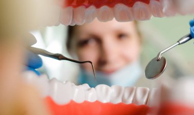 Diş Hekimliği. Diş tarafından çerçeveli ağzından görüntülemek.