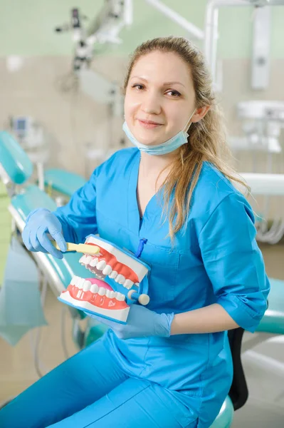 Zahnärztin zeigt Kiefermodell und Zahnbürste — Stockfoto