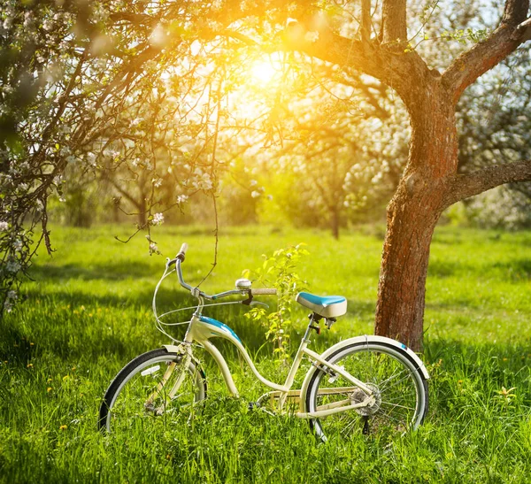 Bicicleta vintage de pie en la hierba verde fresca — Foto de Stock