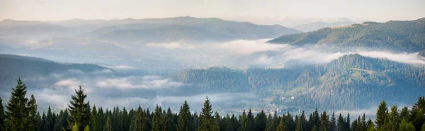 Morgon med dimma över bergssluttningarna — Stockfoto