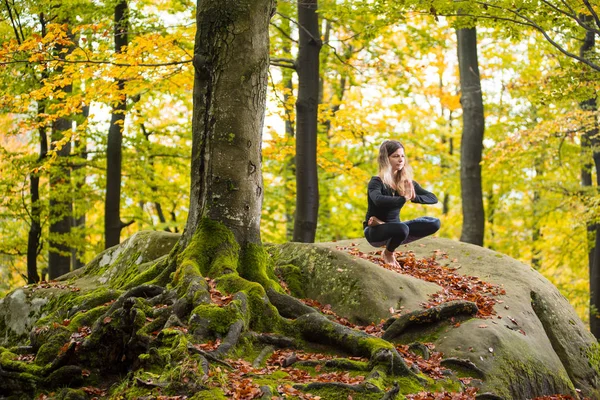 Жінка практикує йогу в осінньому лісі на великому камені — стокове фото