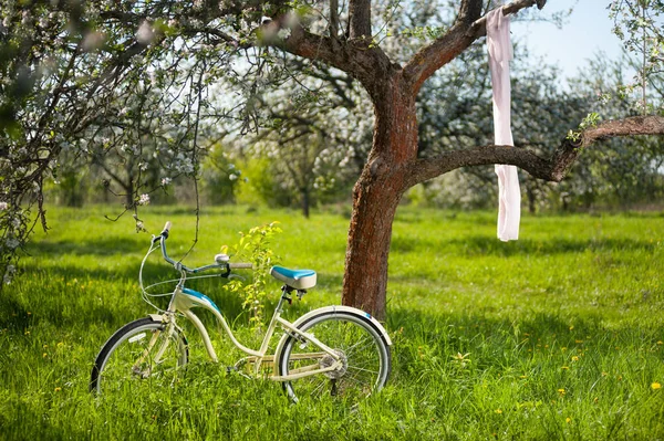 Bicicleta vintage de pie en la hierba verde fresca — Foto de Stock