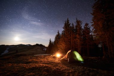 Orman gece kamp turizm. 