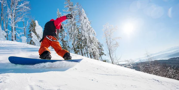 yamaç sürme snowboarder