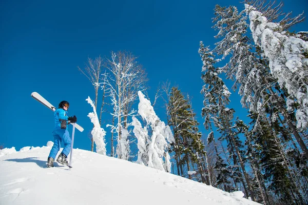 肩 copyspace 冬フリーライド ダウンヒル極端な彼女のスキーを運ぶ坂を歩きながら雪に覆われた山々 の美しい景色を楽しむ女性スキーヤーのショット — ストック写真