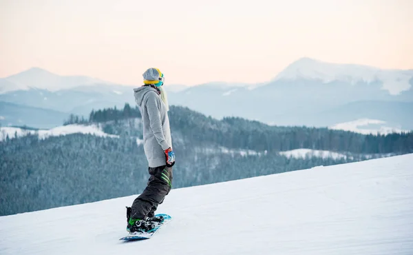 Snowboarder femenina disfrutando del esquí —  Fotos de Stock