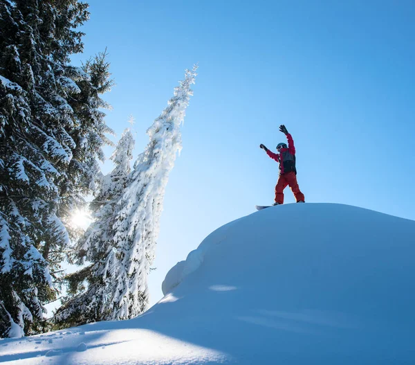 Férfi snowboardos freerider állt a tetején — Stock Fotó