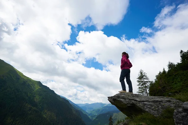 Uppåtriktade skott av ung kvinnlig turist stående ovanpå den rock beundra blå himmel och fantastiska landskap med gröna gräsbevuxna sluttningar och berg i Rumänien. Kvinna klättrare resor träd vacker utsikt — Stockfoto