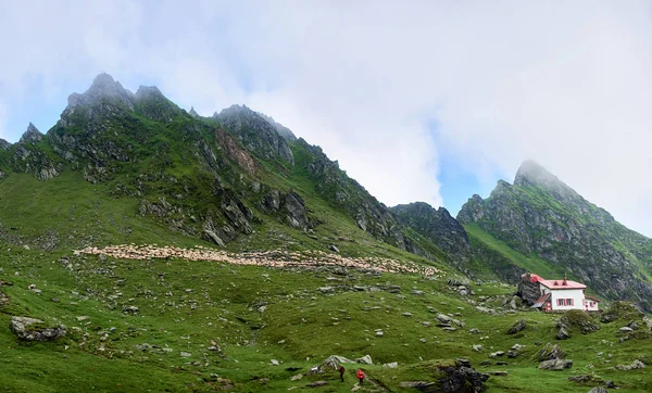 Un grup de excursioniști care merg pe traseul turistic. Un grup mare de oameni merg pe munți stâncoși spre vârfuri montane și o turmă mare de oi pășunând pe o altă parte a văii. Casa Păstorilor Singuratici . — Fotografie, imagine de stoc