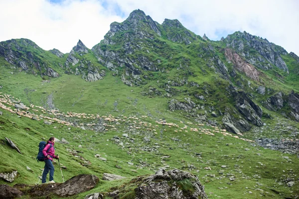 Seyahat turizm yaşam tarzı manzara görünümü sahne düzeni arka plan hava keşfetmek dağlar boşaltmak sezon doğa hiking tepeden aşağı yürüyen bir kadın uzun yürüyüşe çıkan kimse kadeh. — Stok fotoğraf