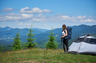  backpacker sırt çantası ve trekking sopa ile 