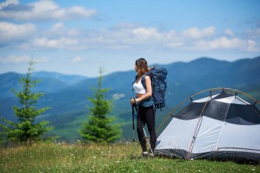 sırt çantası ve trekking sopa ile dağcı 