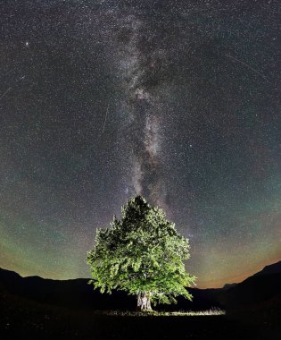 Panoramik ışıklı yalnız yüksek ağaç altında inanılmaz güzel yıldızlı gece gökyüzü ve Samanyolu dağlarda. Astrophotography