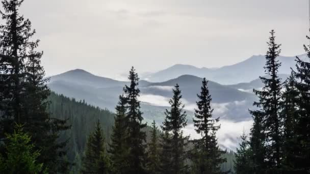 Paisaje Montaña Timelapse Nubes Movimiento Sobre Bosques Pinos Día Nublado — Vídeos de Stock