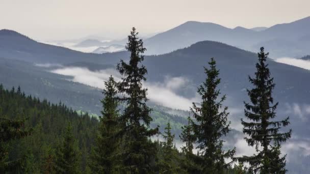 Fantastico Paesaggio Montano Nuvole Che Muovono Nella Valle Con Pinete — Video Stock