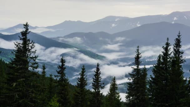 Wolken Die Rond Heuvels Van Bergketen Stromen Tijdsverloop Karpaten Bergen — Stockvideo