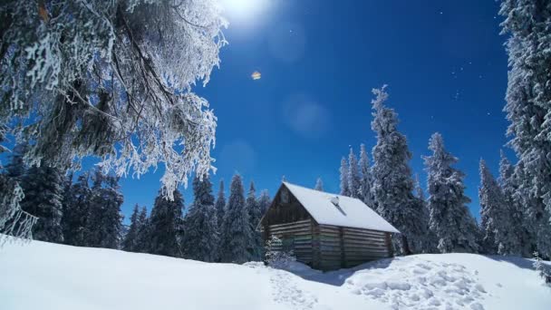 Piccola Casa Foresta Ricoperta Neve Sullo Sfondo Del Cielo Blu — Video Stock