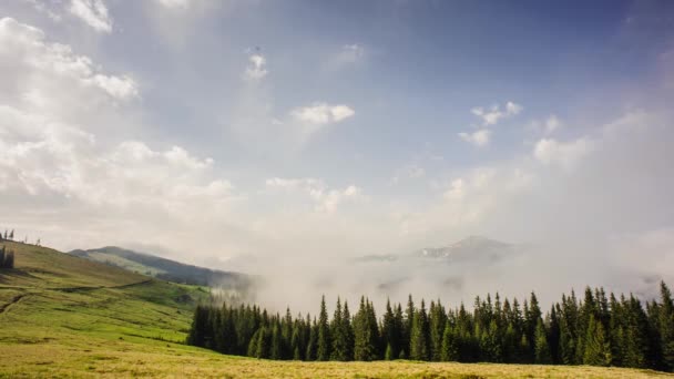 View Beautiful Mountain Peaks Sunny Day Magic Green Spruce Forest — ストック動画