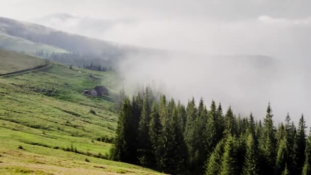 Ukrainian Carpathian Mountains Village Picturesque Valley Forested Hills Timelapse Clouds — ストック動画