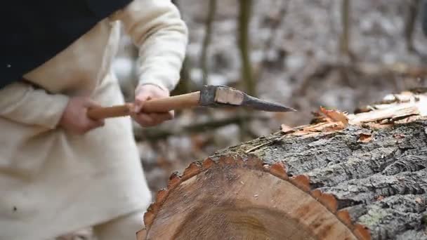 Lumberjack Debarking Schors Van Een Boom Winter Bergen Man Gekleed — Stockvideo