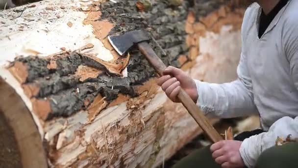 Travailleur Barbu Portant Vieux Vêtements Légers Enlevant Écorce Tronc Arbre — Video