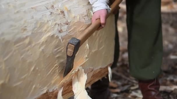 Primer Plano Gran Árbol Aire Libre Manos Hombre Quitándole Corteza — Vídeo de stock