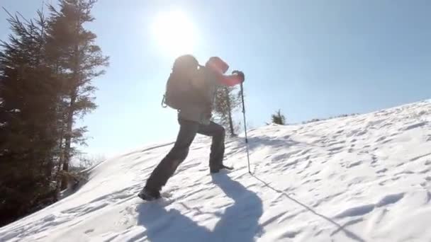 Man Backpack Trekking Sticks Rises Snow Top Mountain Climber Backdrop — Stock Video