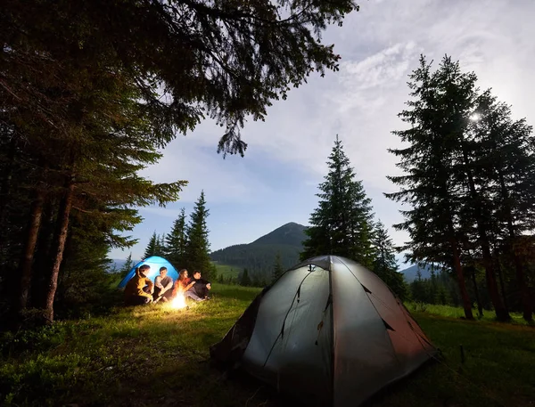 Bir Grup Turist Akşamları Çam Ormanlarının Yakınındaki Kamp Ateşinin Tadını — Stok fotoğraf